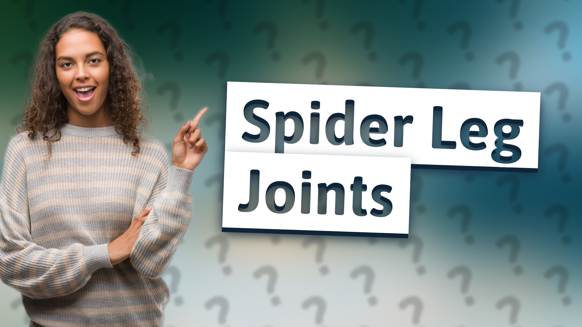 Spider Leg Joints