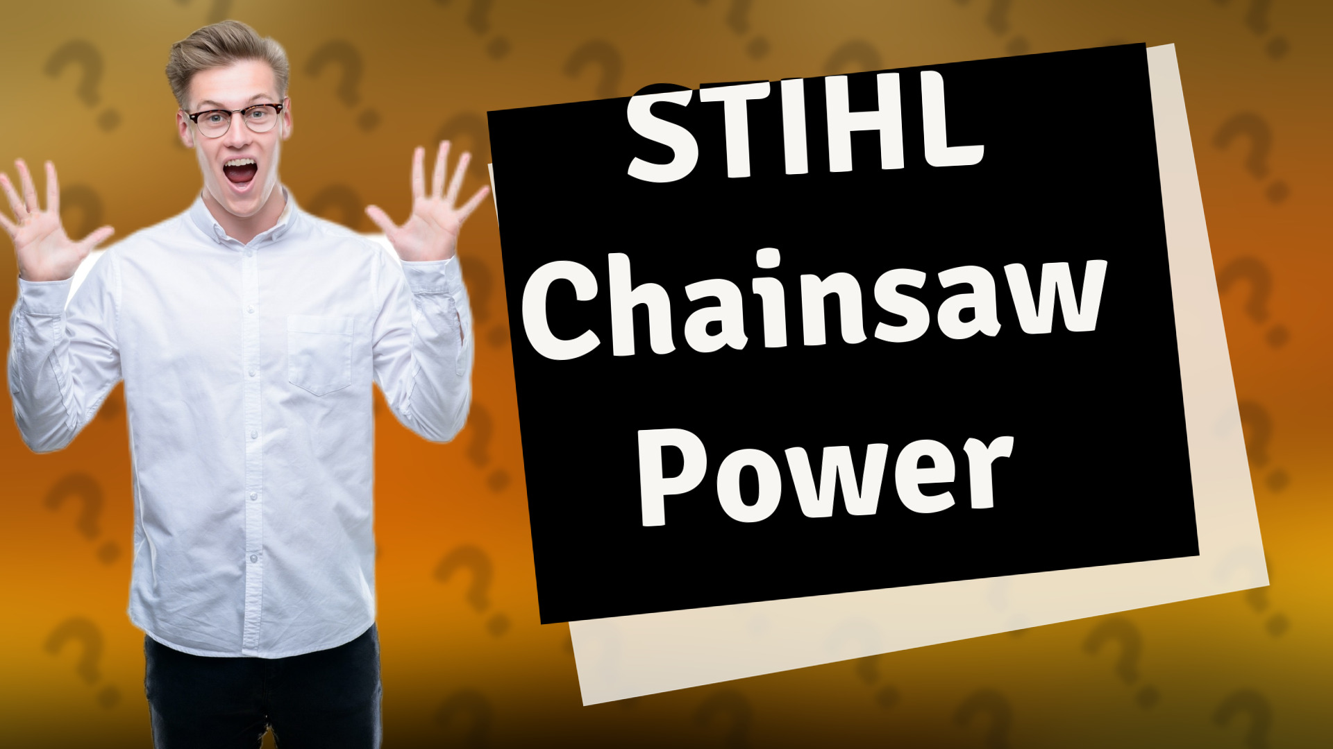 STIHL Chainsaw Power