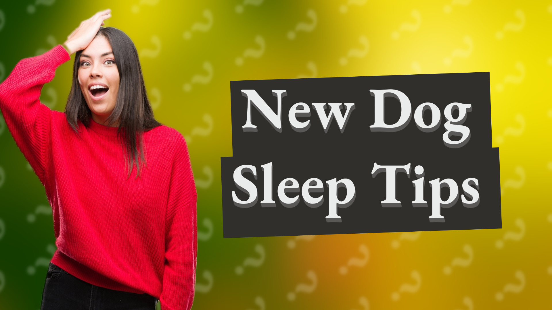New Dog Sleep Tips
