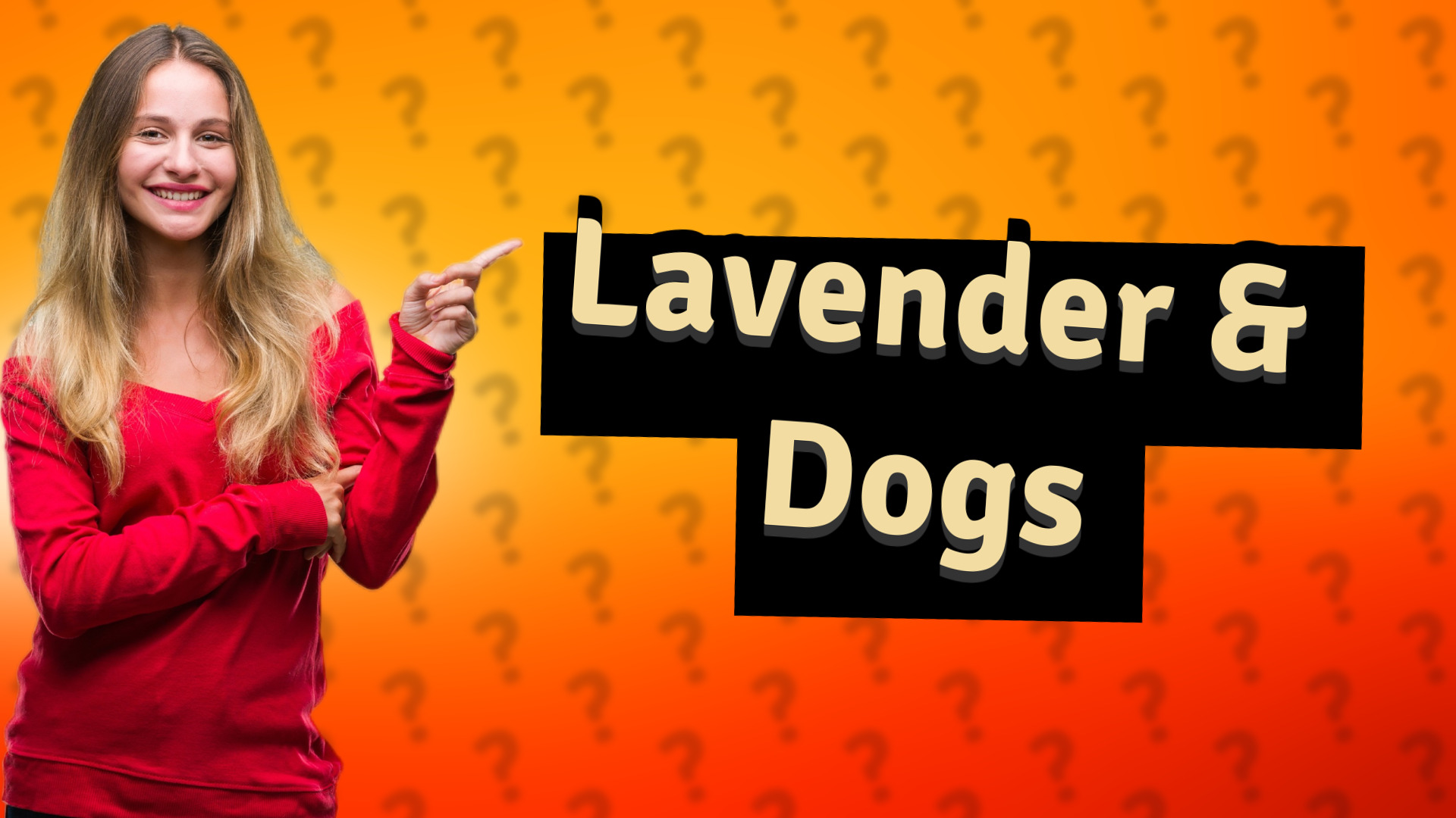 Lavender & Dogs