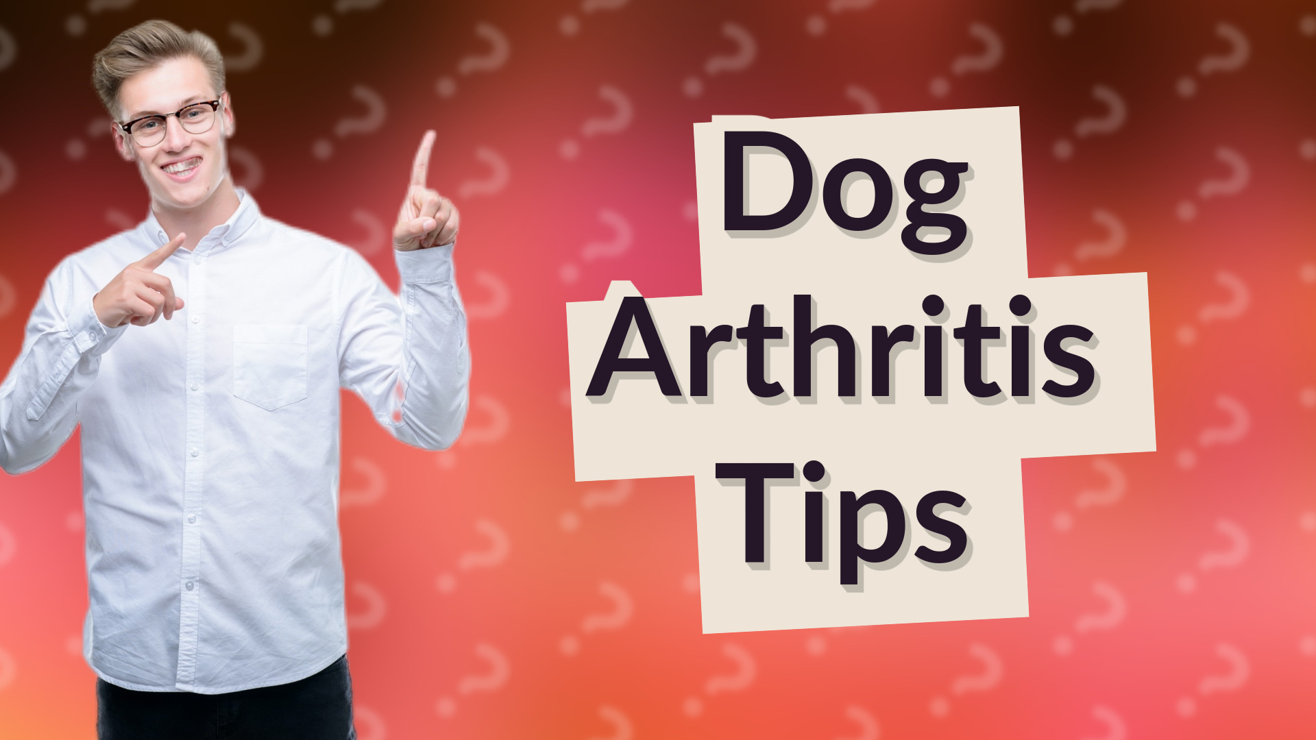 Dog Arthritis Tips
