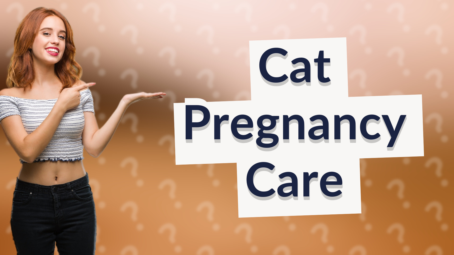 Cat Pregnancy Care