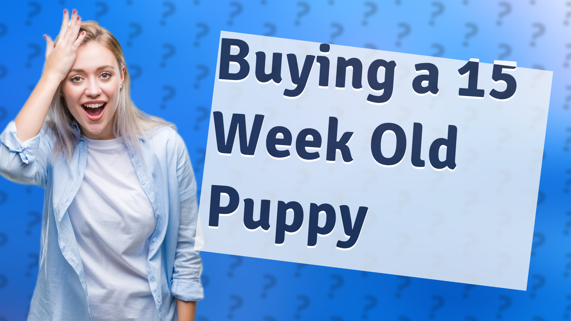 Buying a 15 Week Old Puppy