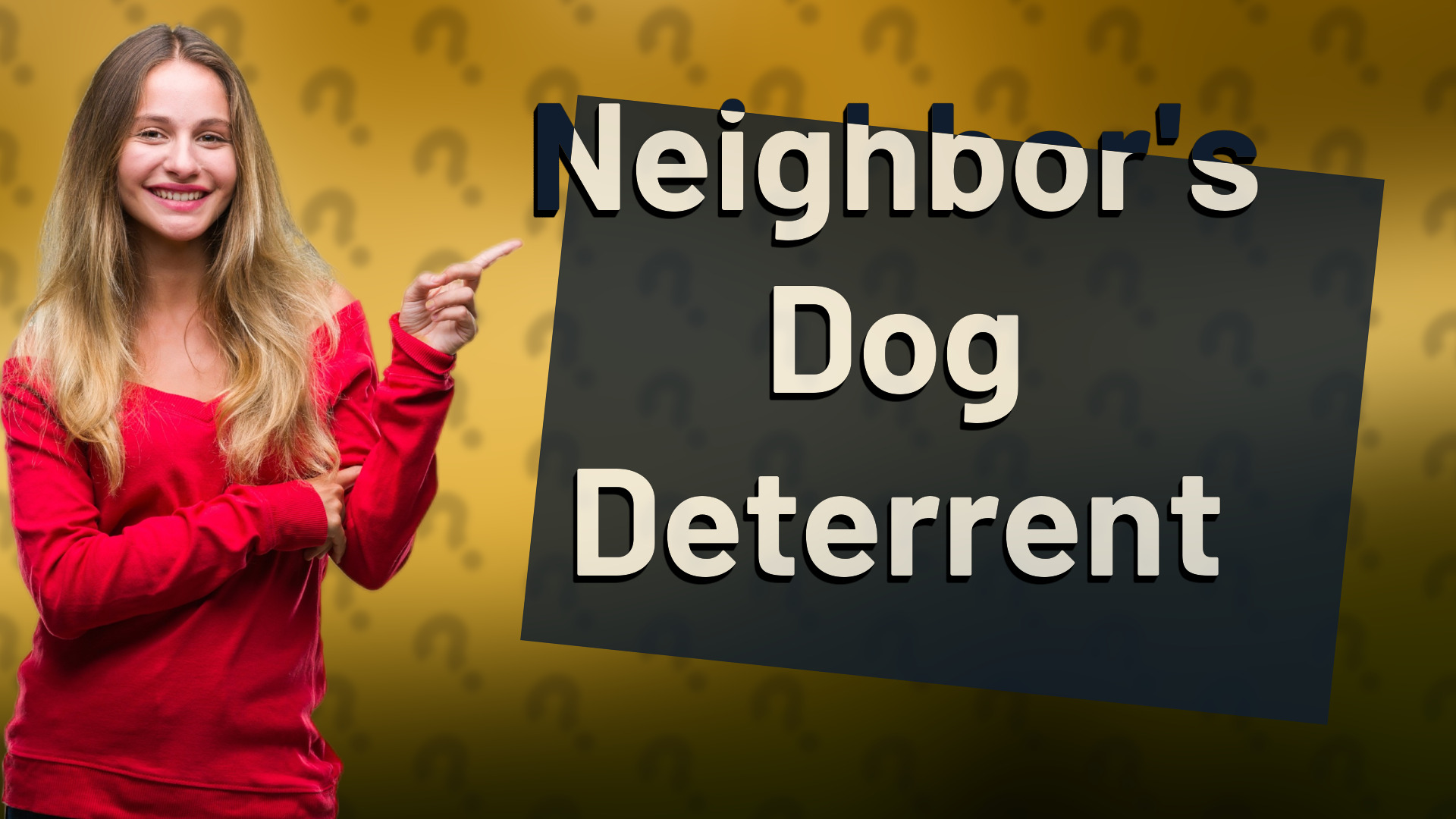 Neighbor's Dog Deterrent