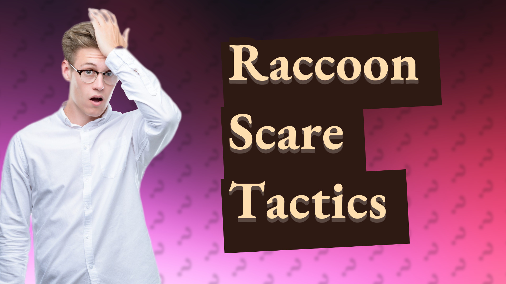 Raccoon Scare Tactics
