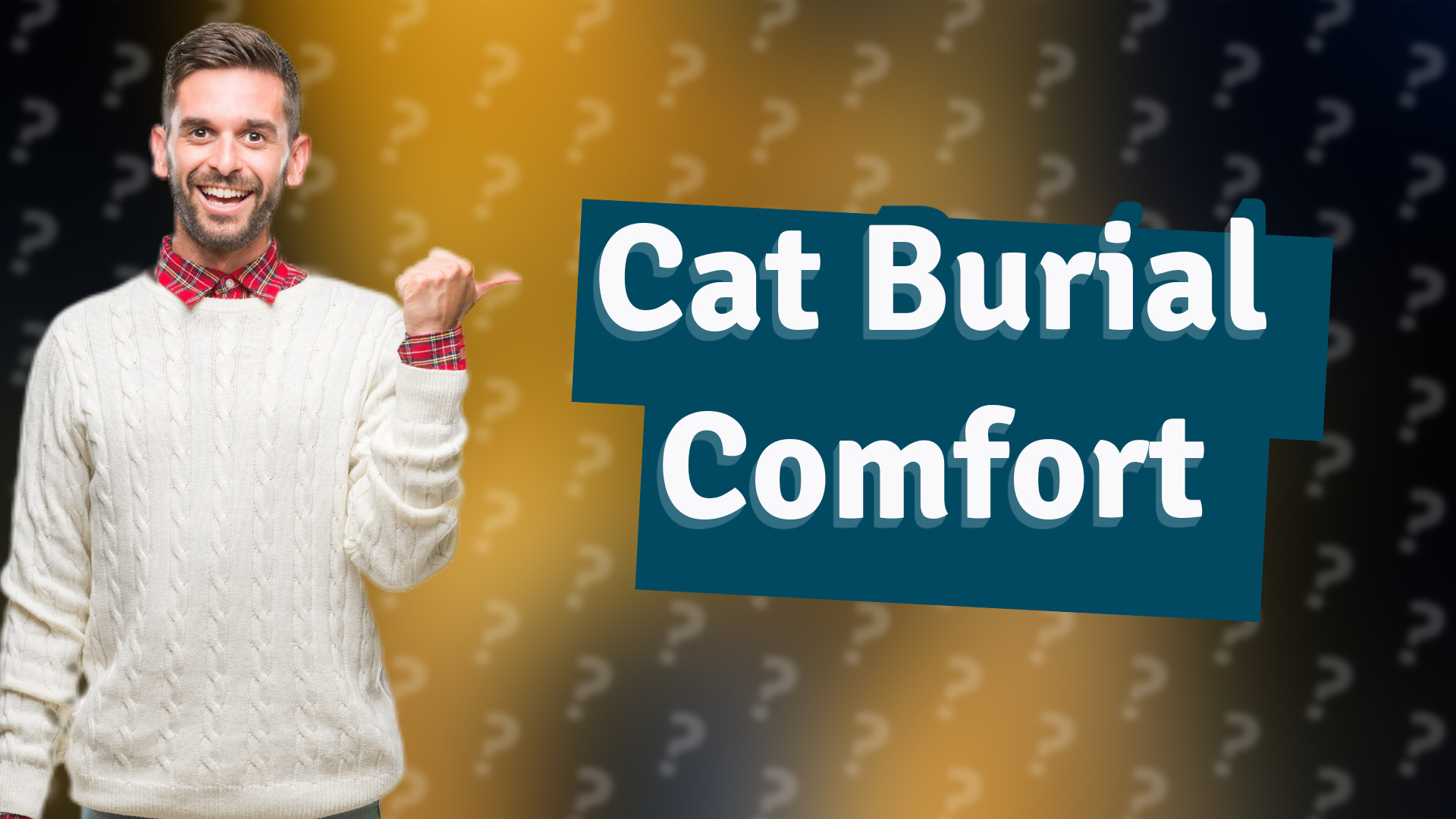 Cat Burial Comfort