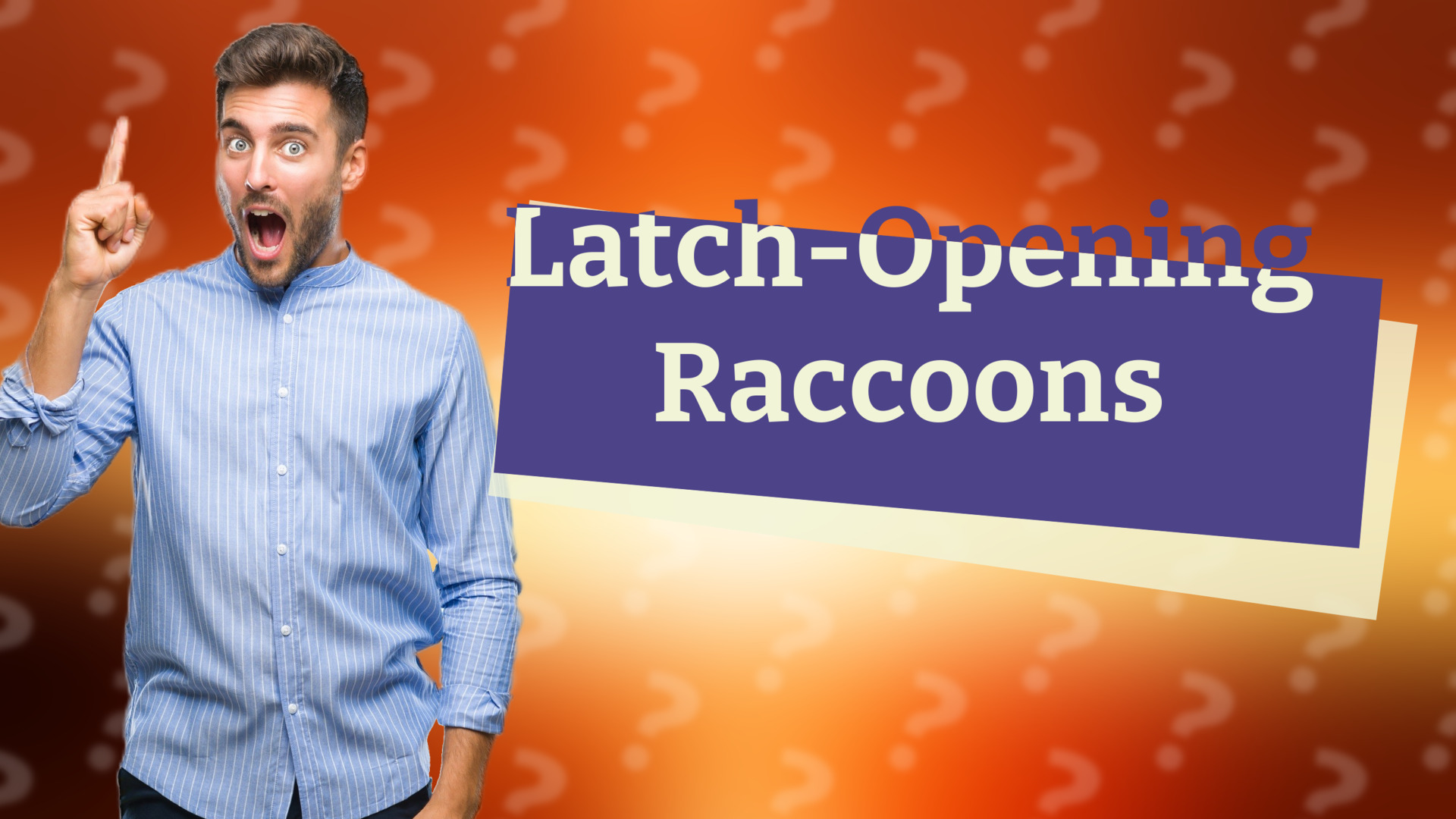 Latch-Opening Raccoons
