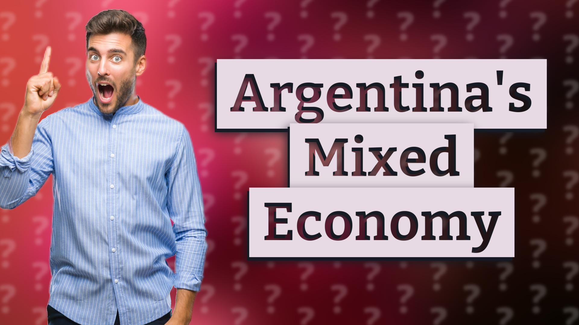Argentina's Mixed Economy