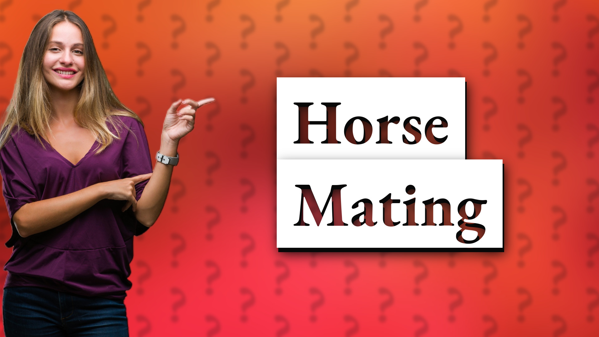 Horse Mating