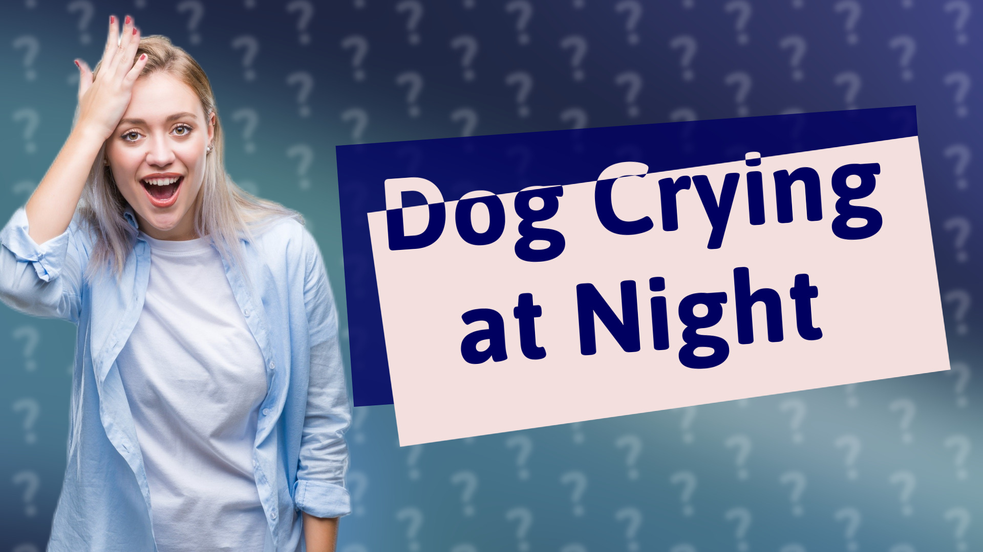 Dog Crying at Night