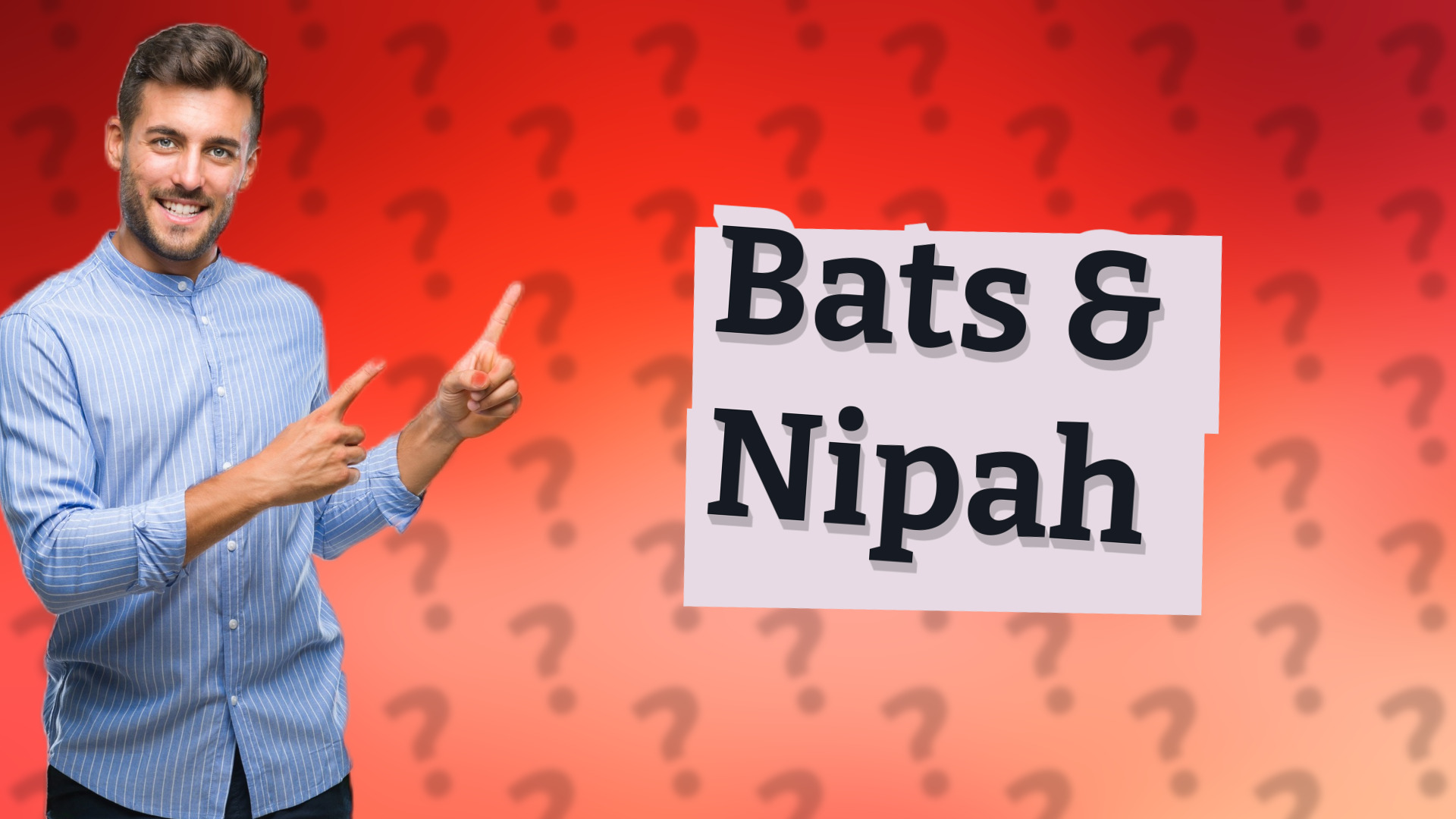 Bats & Nipah