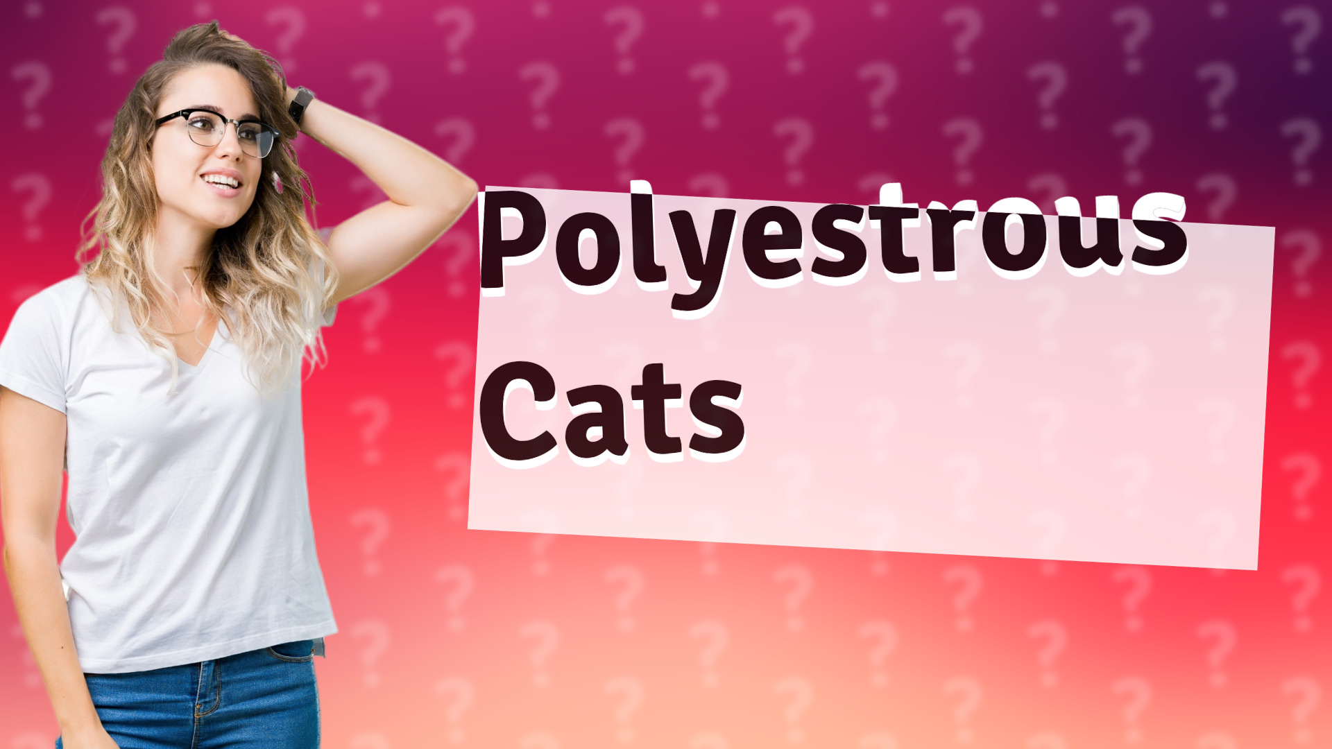 Polyestrous Cats