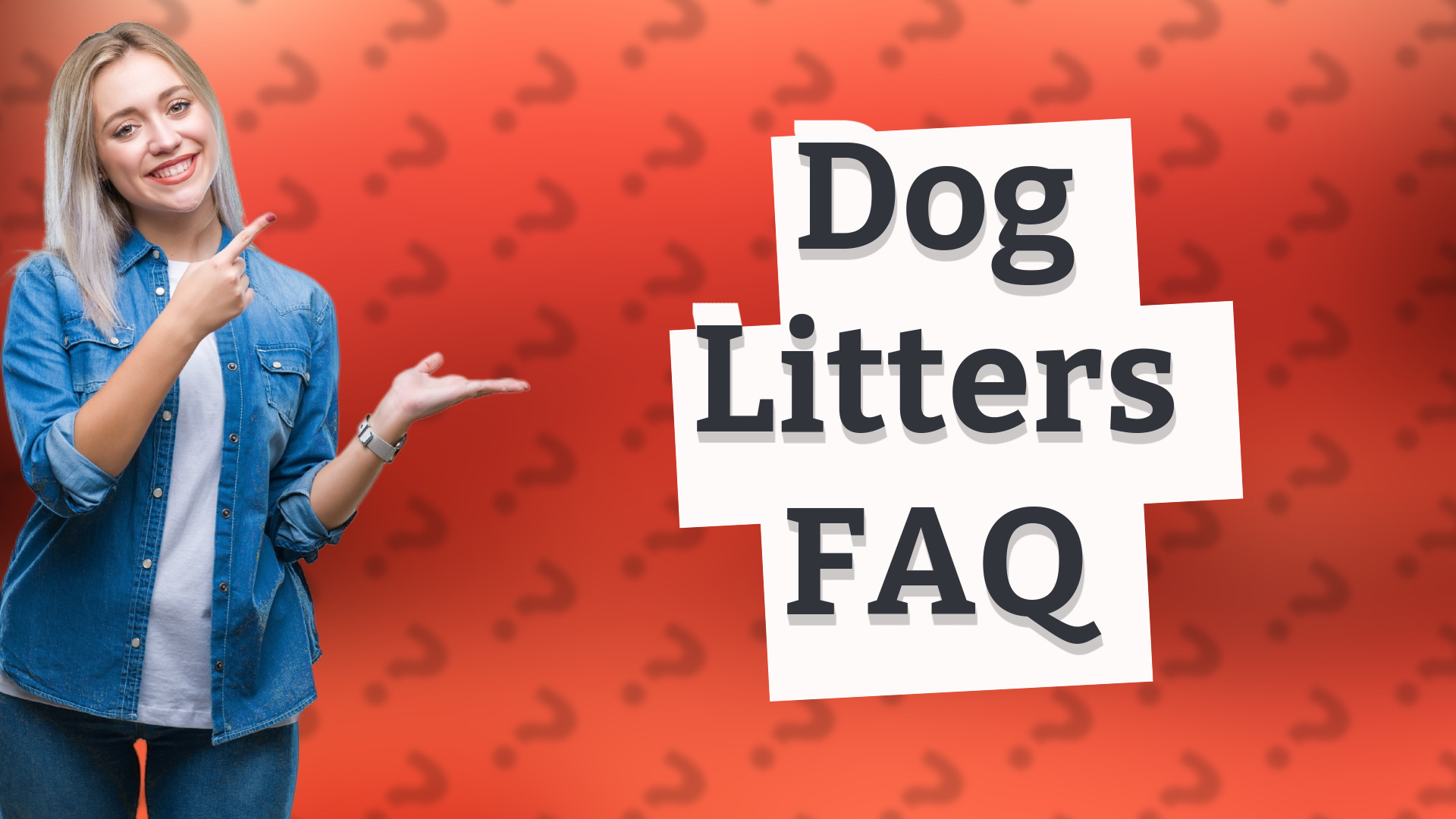 Dog Litters FAQ