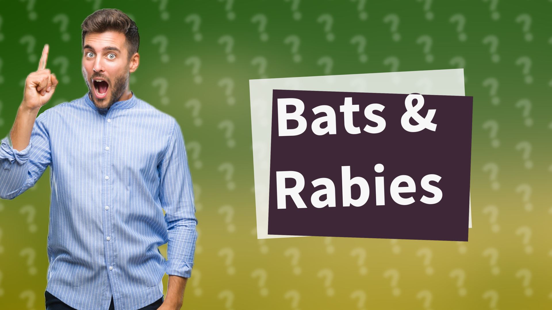 Bats & Rabies