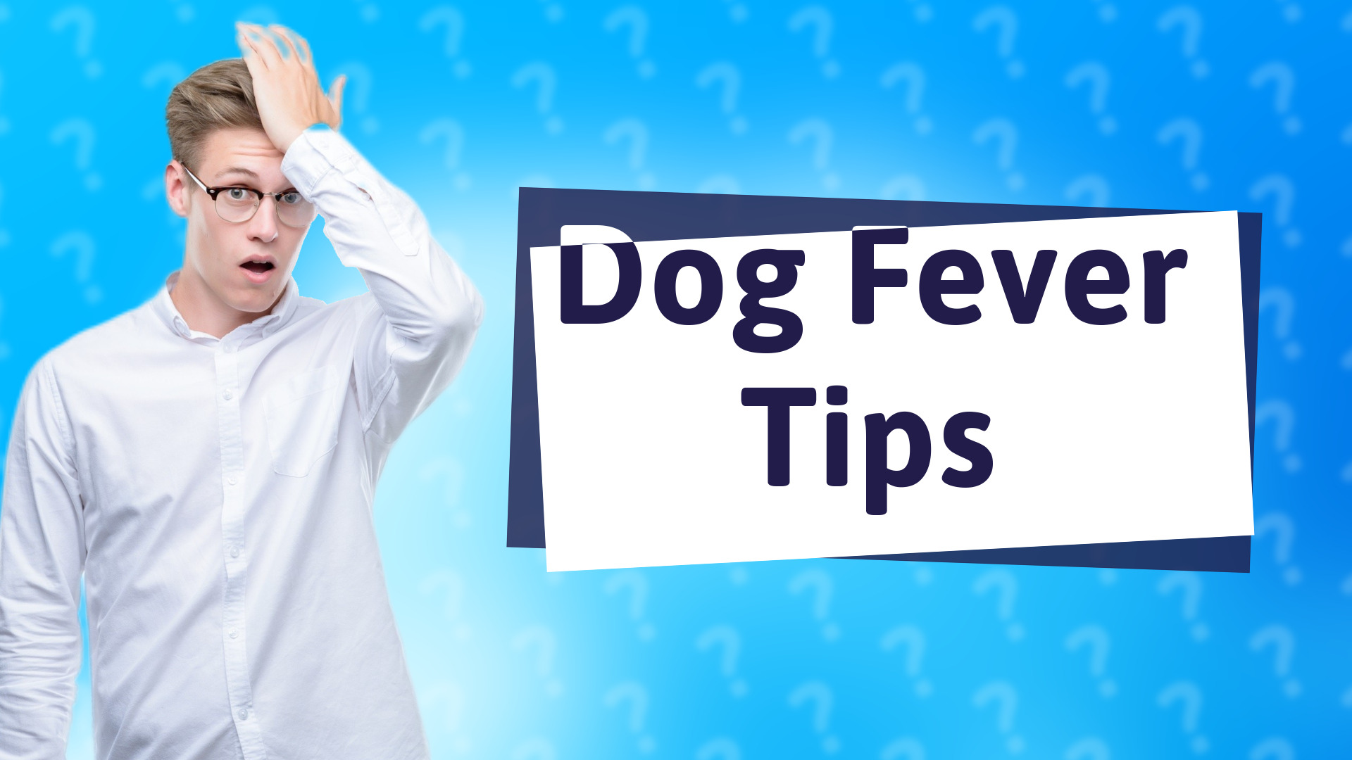 Dog Fever Tips