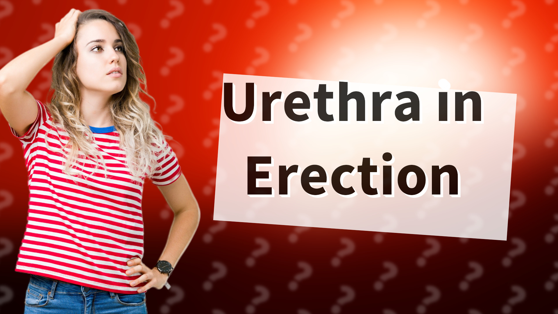 Urethra in Erection