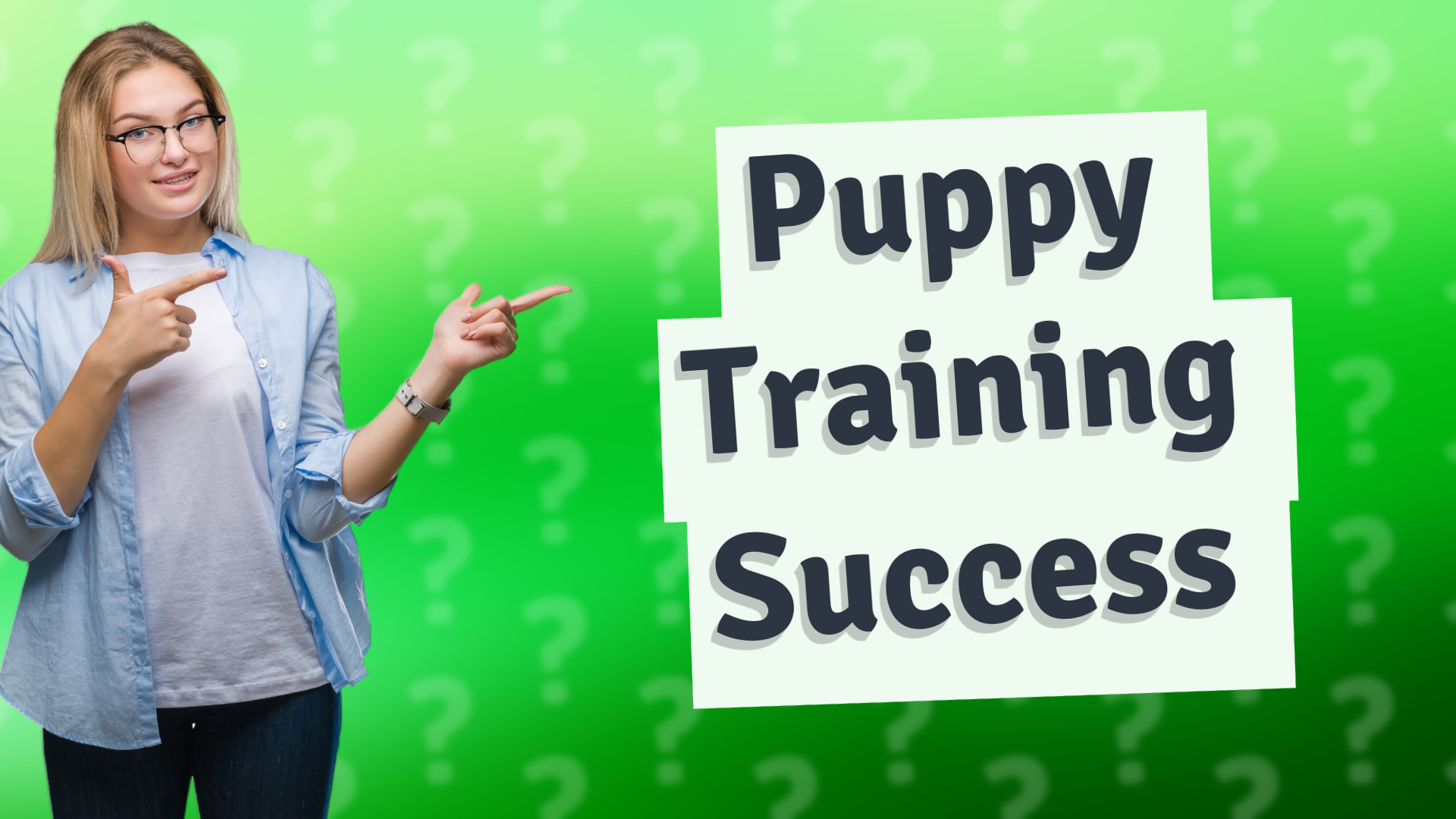 Puppy Training Success