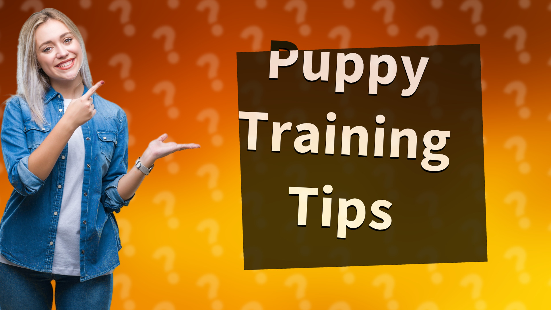 Puppy Training Tips