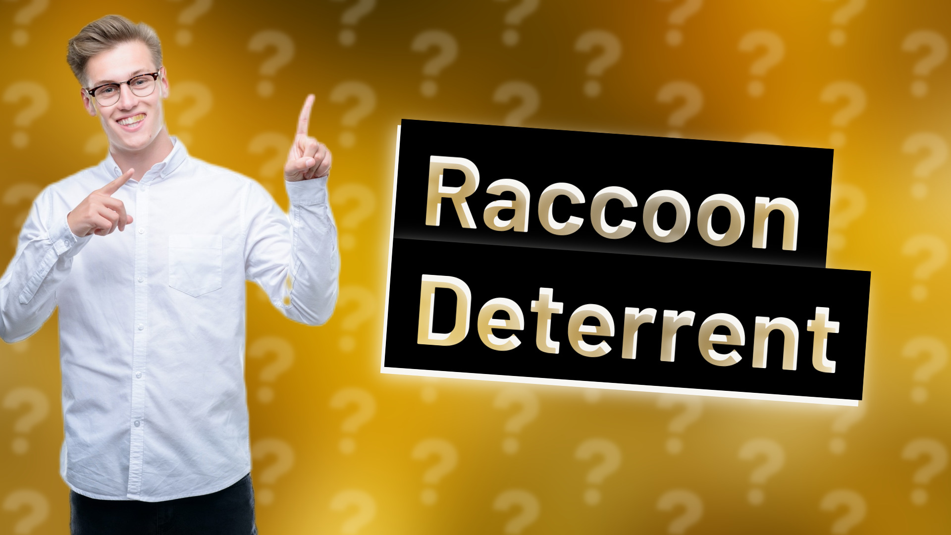 Raccoon Deterrent