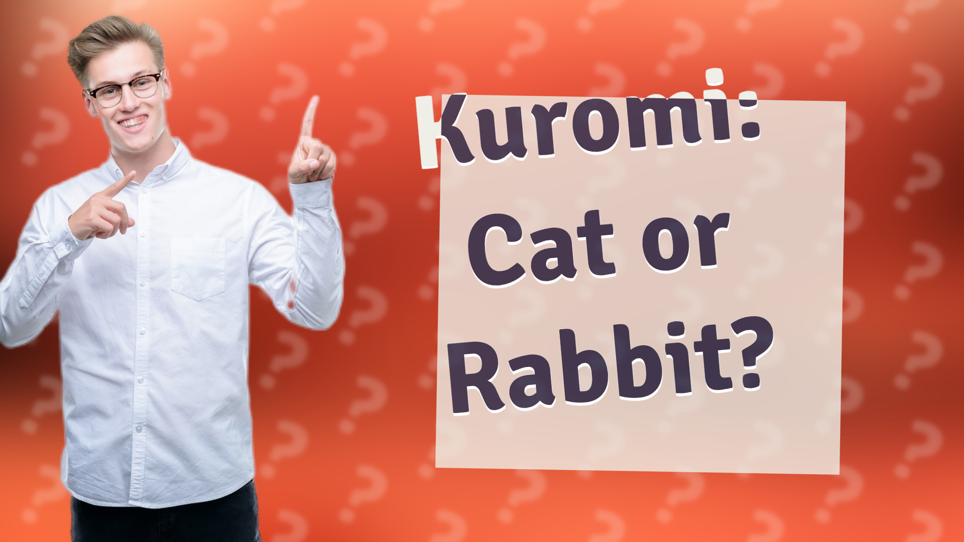 Kuromi: Cat or Rabbit?