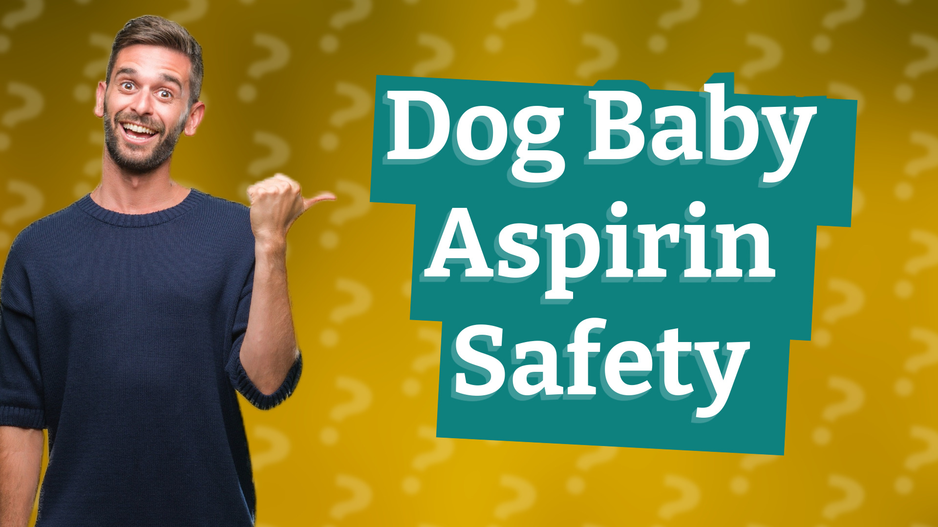 Dog Baby Aspirin Safety