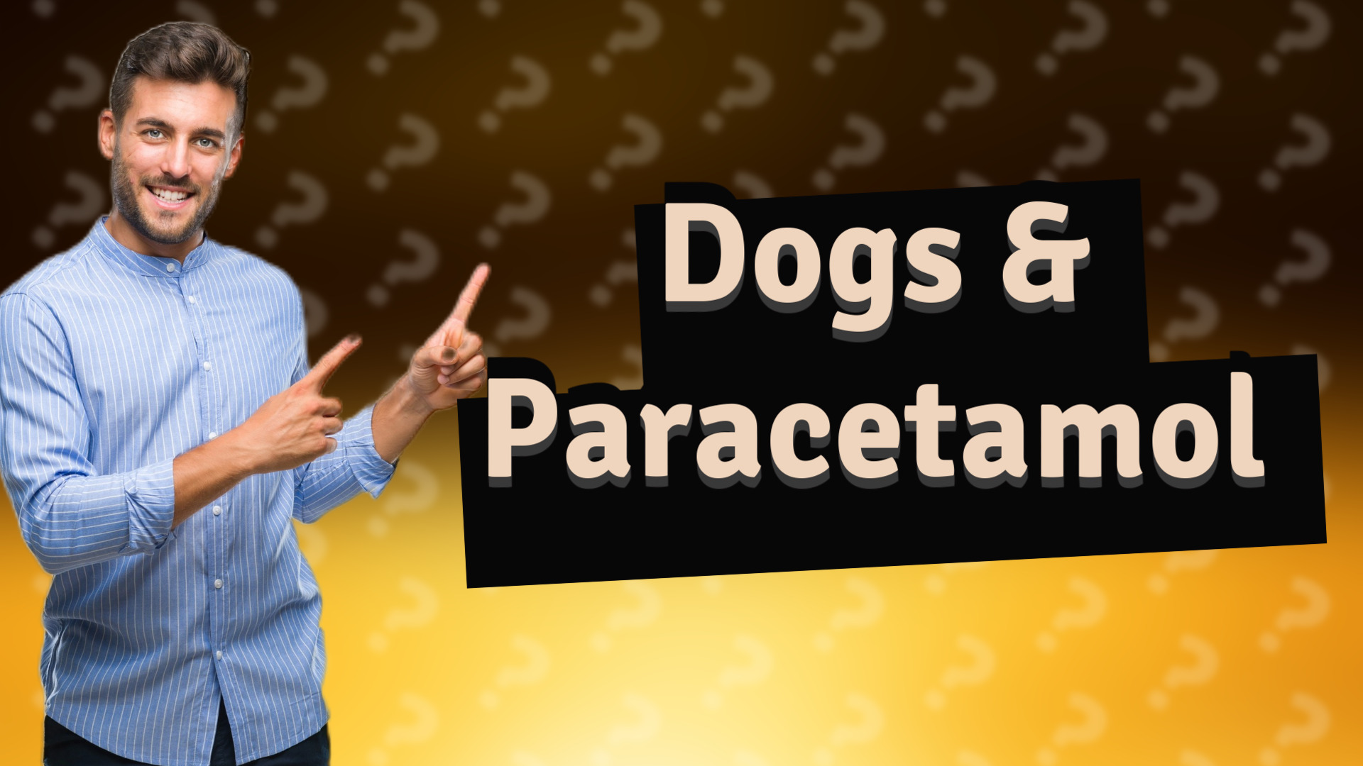 Dogs & Paracetamol