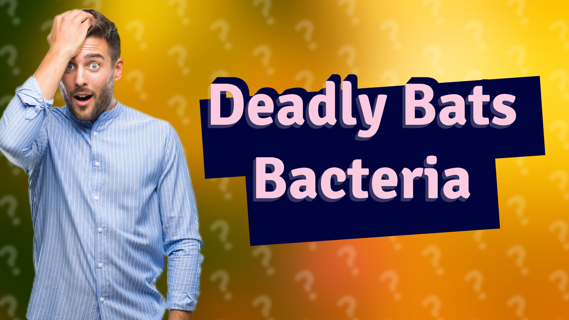 Deadly Bats Bacteria