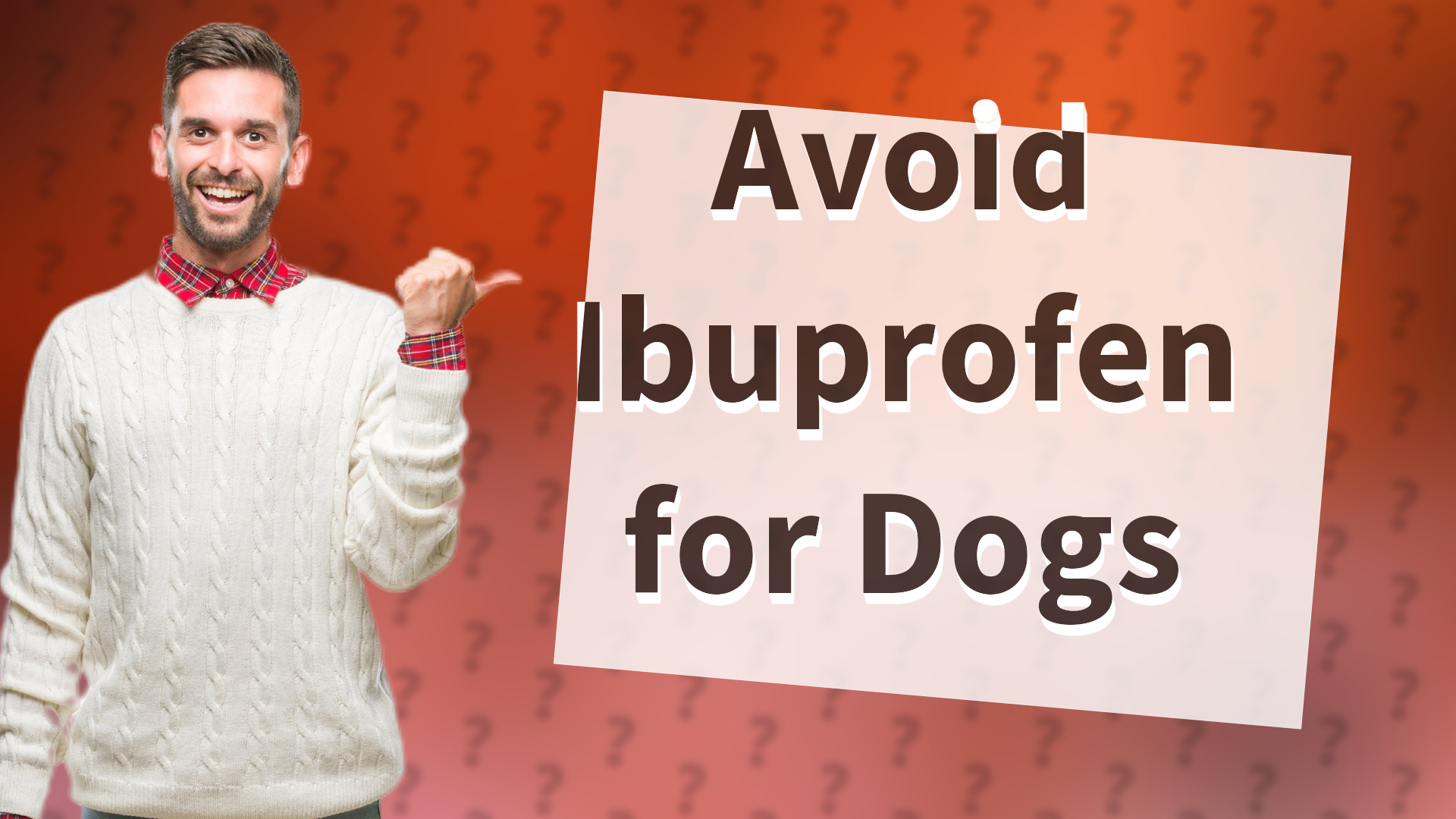 Avoid Ibuprofen for Dogs