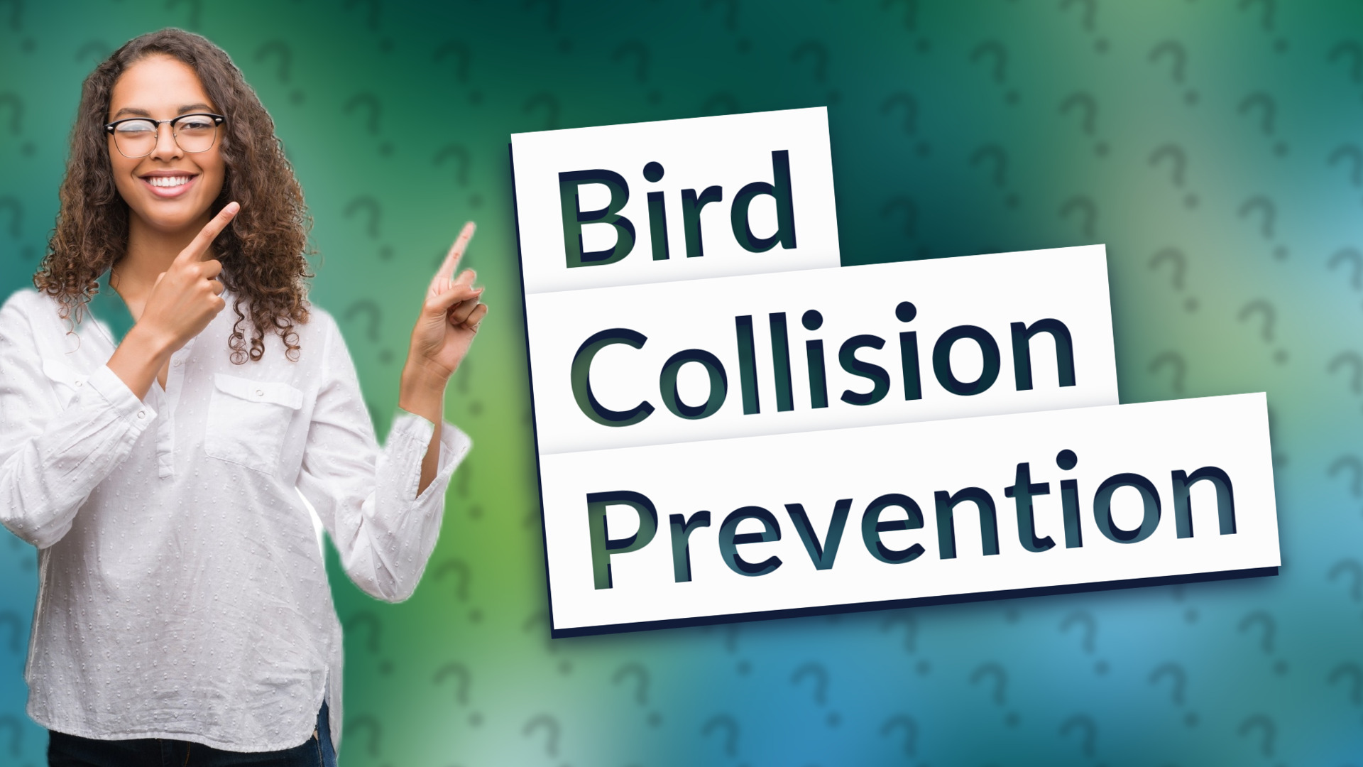 Bird Collision Prevention