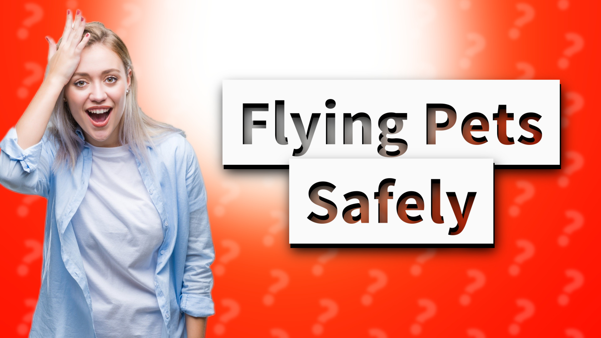 Flying Pets Safely