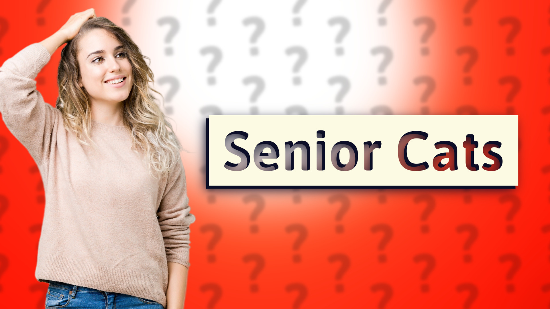 Senior Cats
