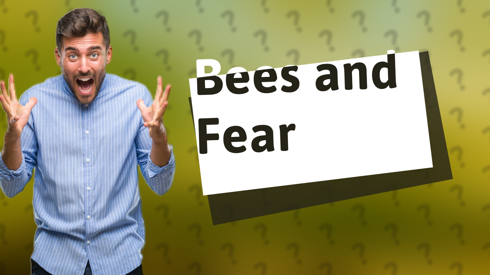 Bees and Fear