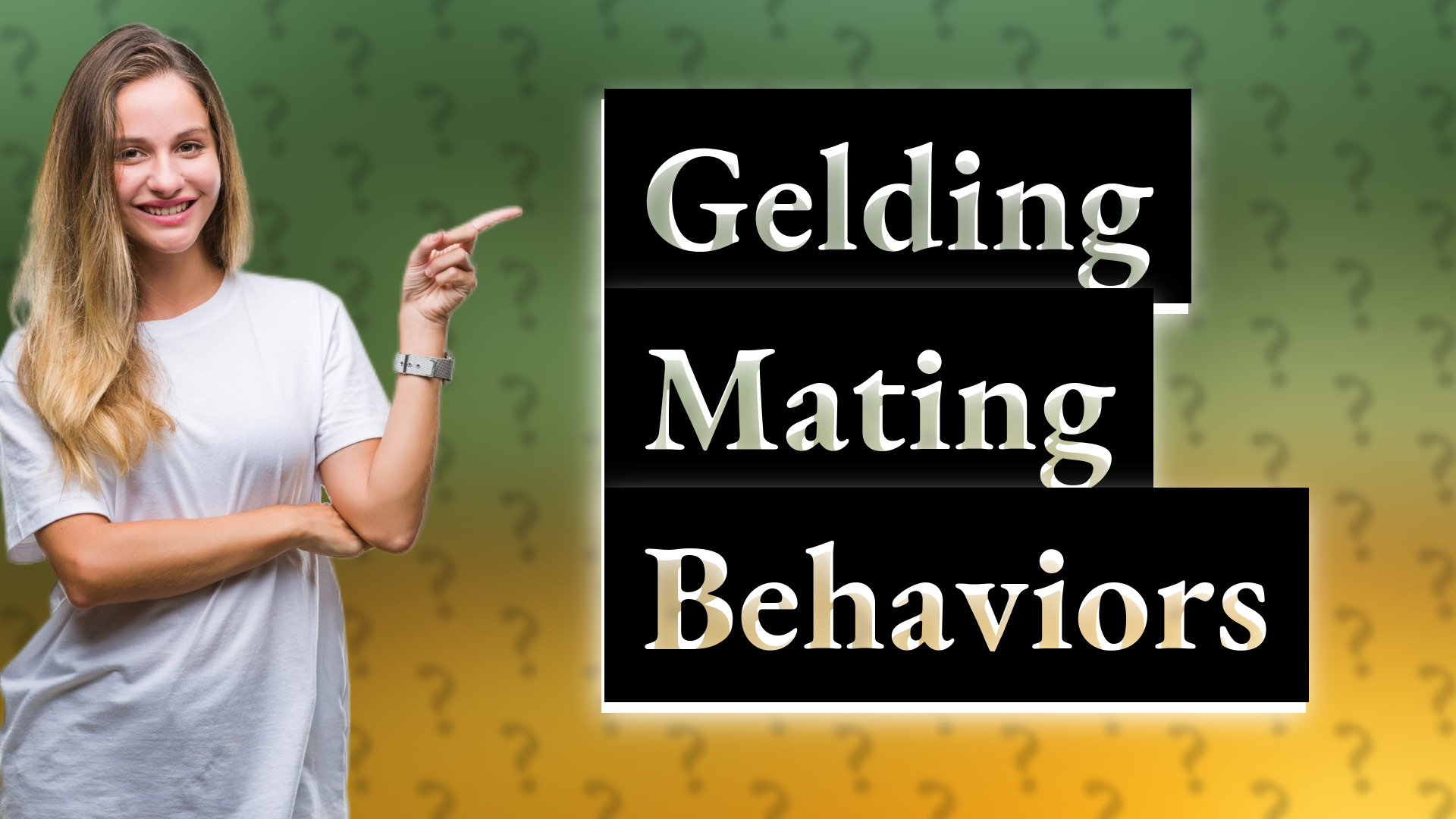 Gelding Mating Behaviors