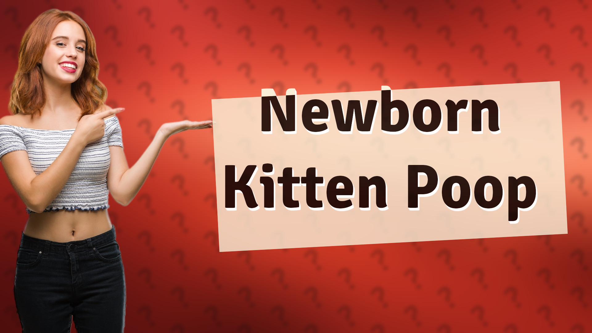 Newborn Kitten Poop