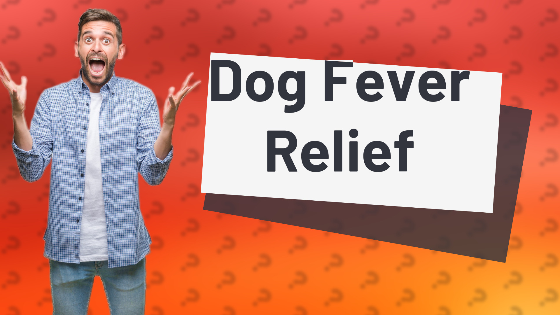 Dog Fever Relief