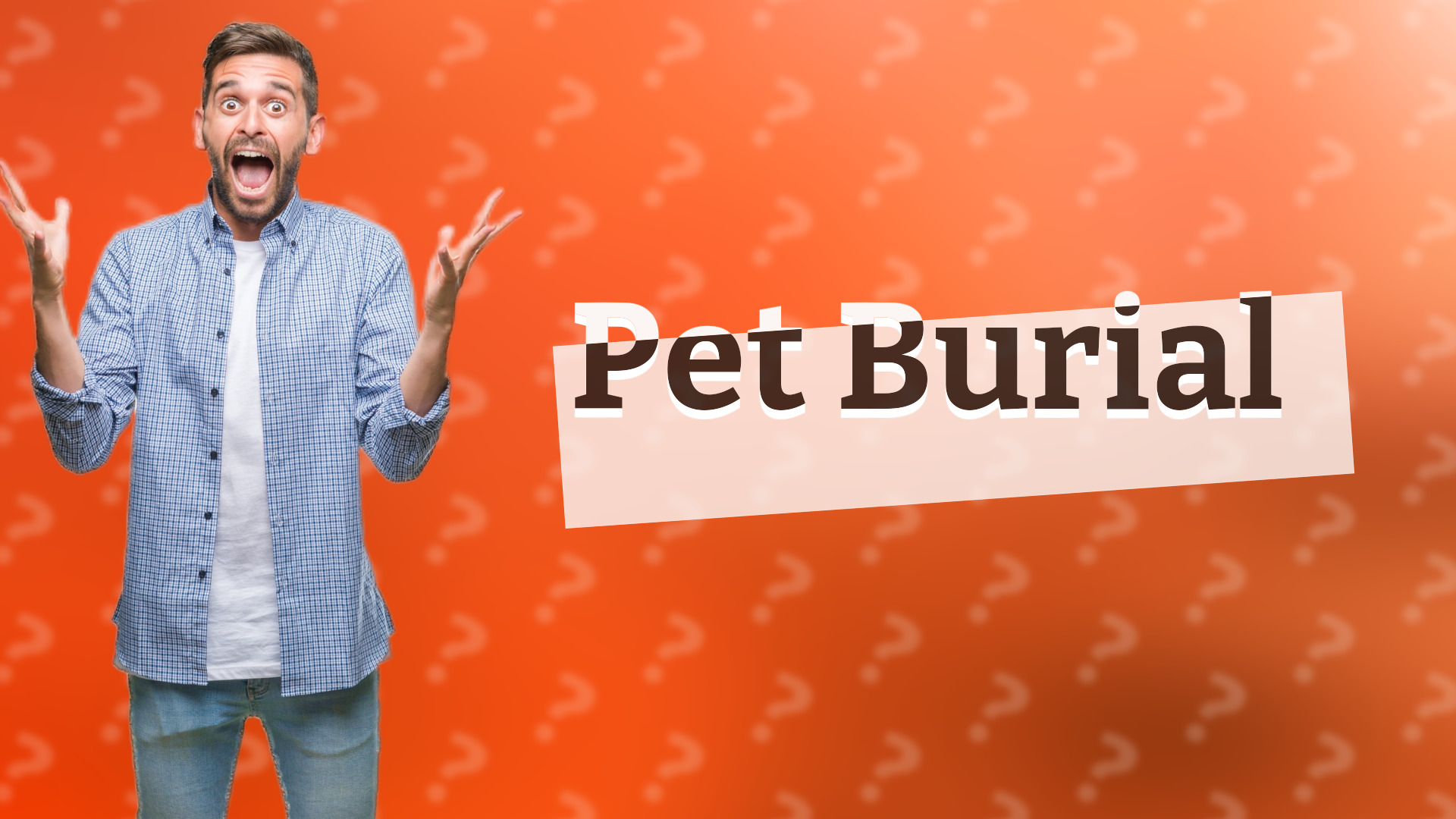 Pet Burial