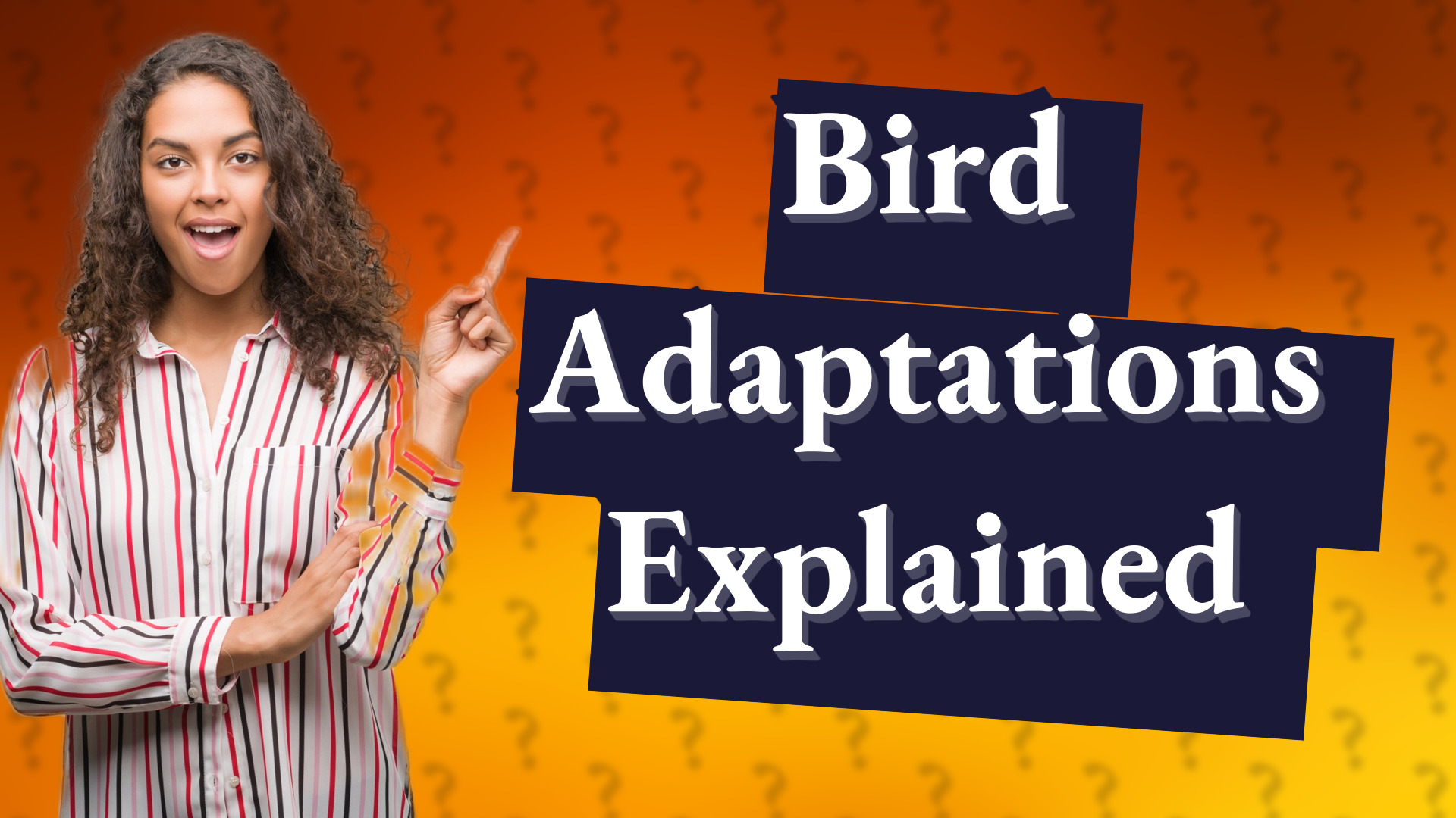 Bird Adaptations Explained
