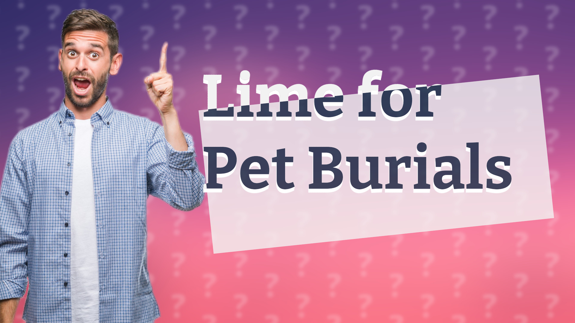 Lime for Pet Burials