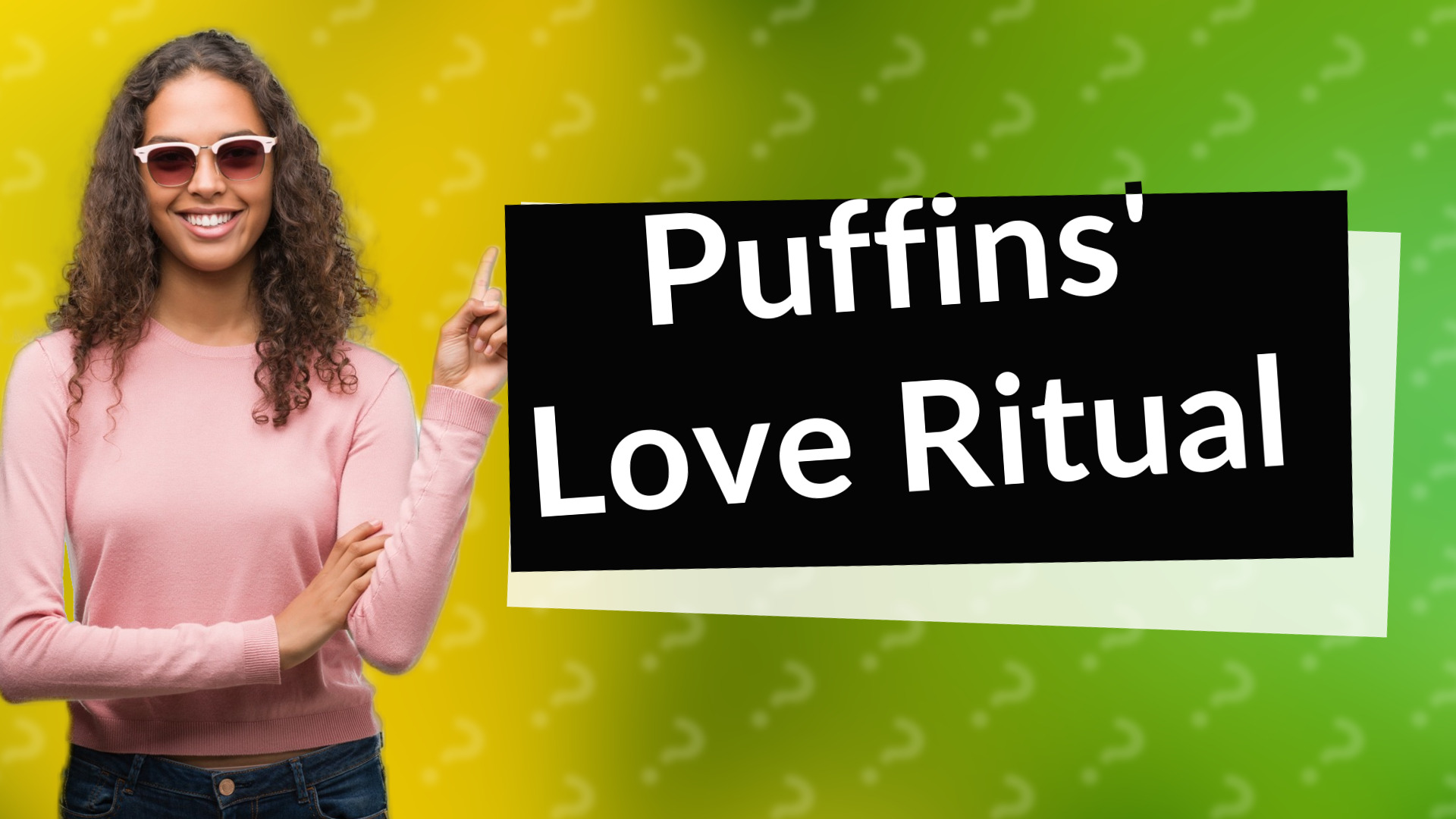 Puffins' Love Ritual