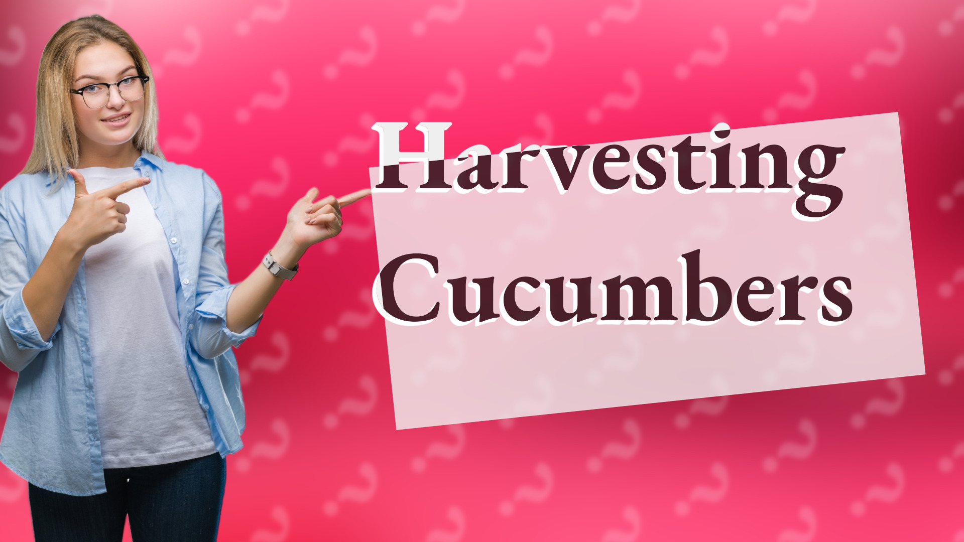 Harvesting Cucumbers