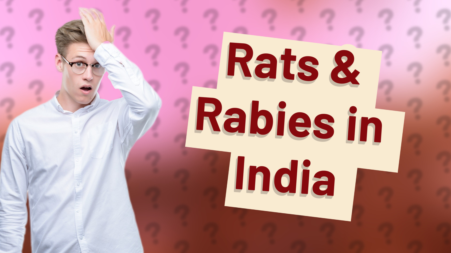 Rats & Rabies in India