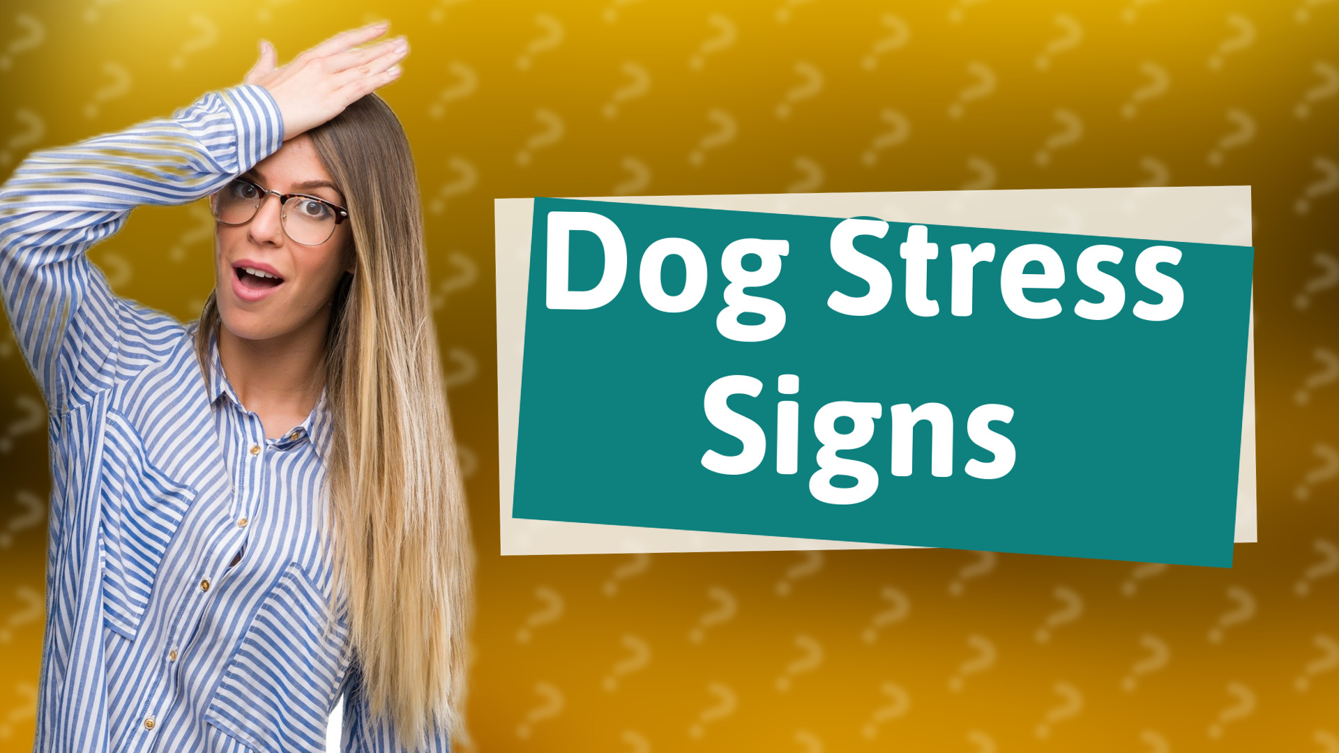 Dog Stress Signs