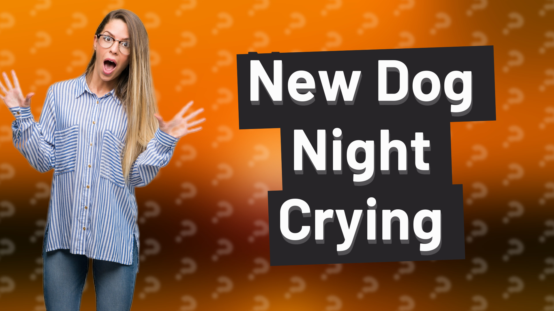 New Dog Night Crying