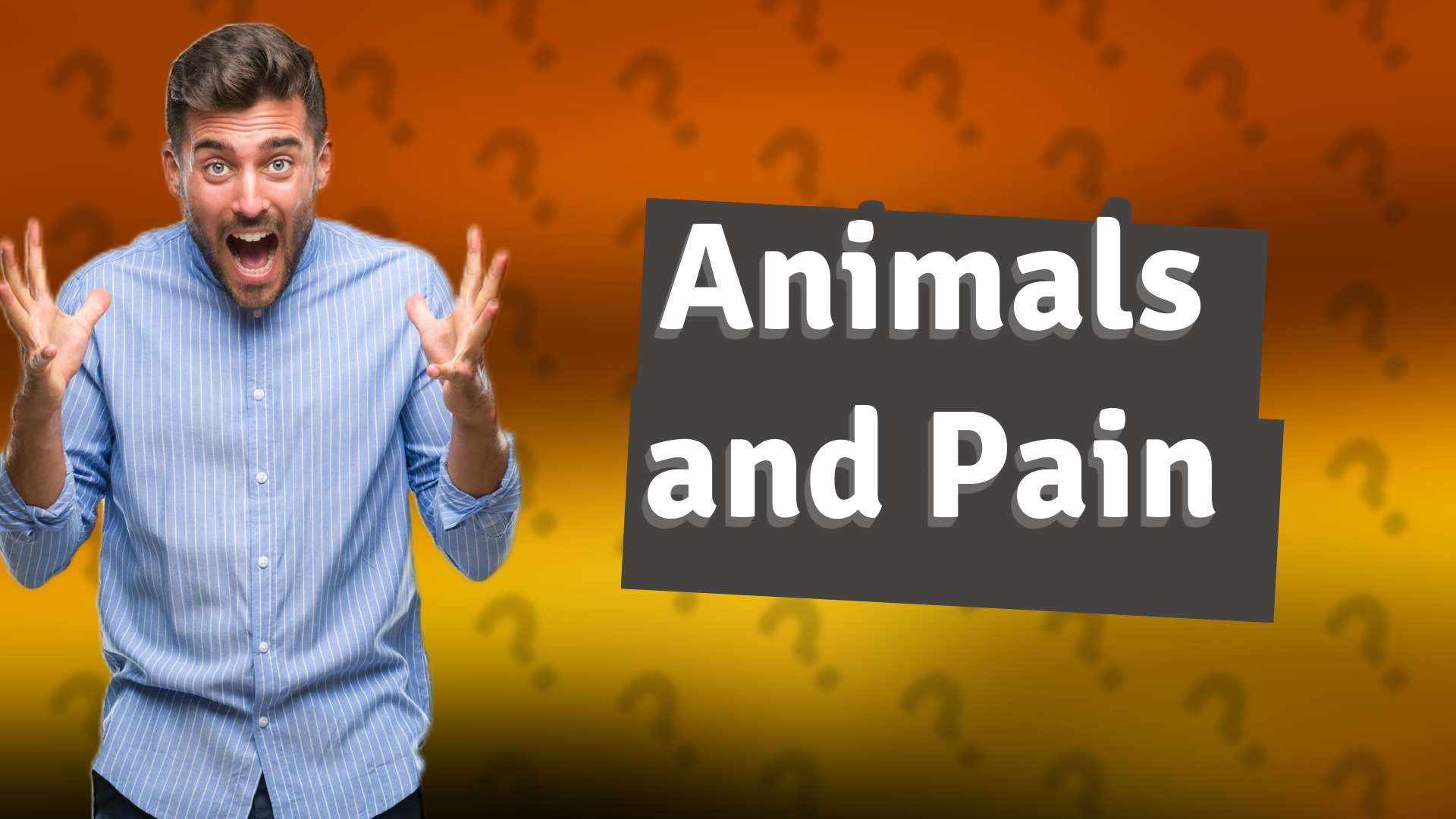 Animals and Pain