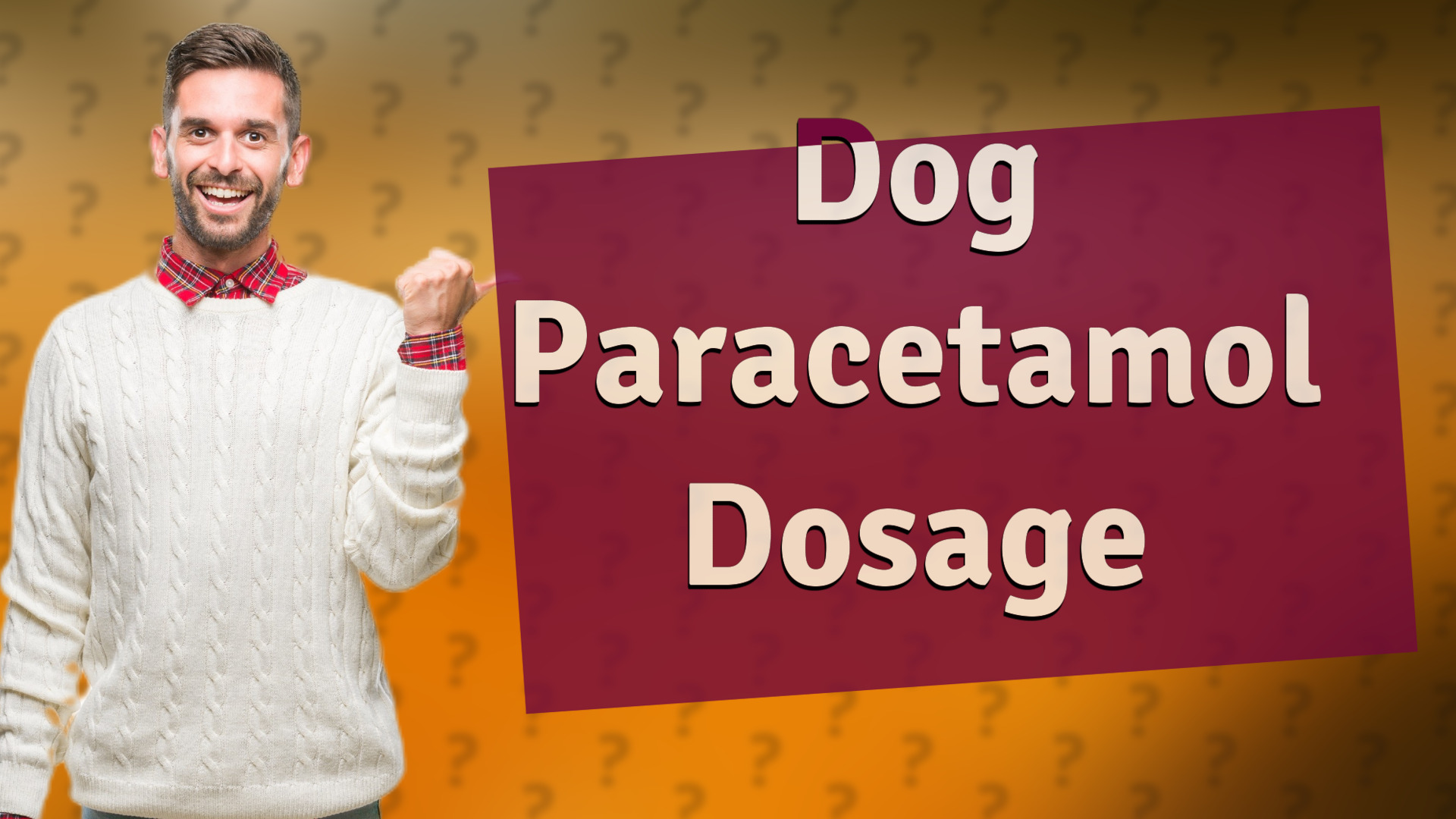 Dog Paracetamol Dosage