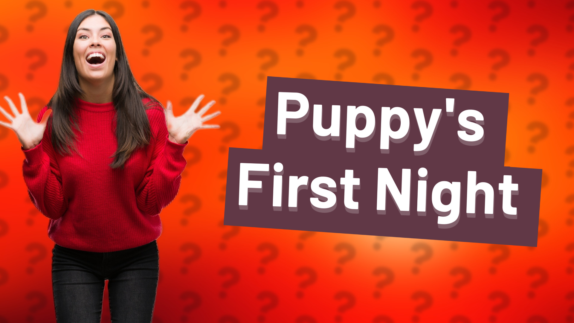 Puppy's First Night
