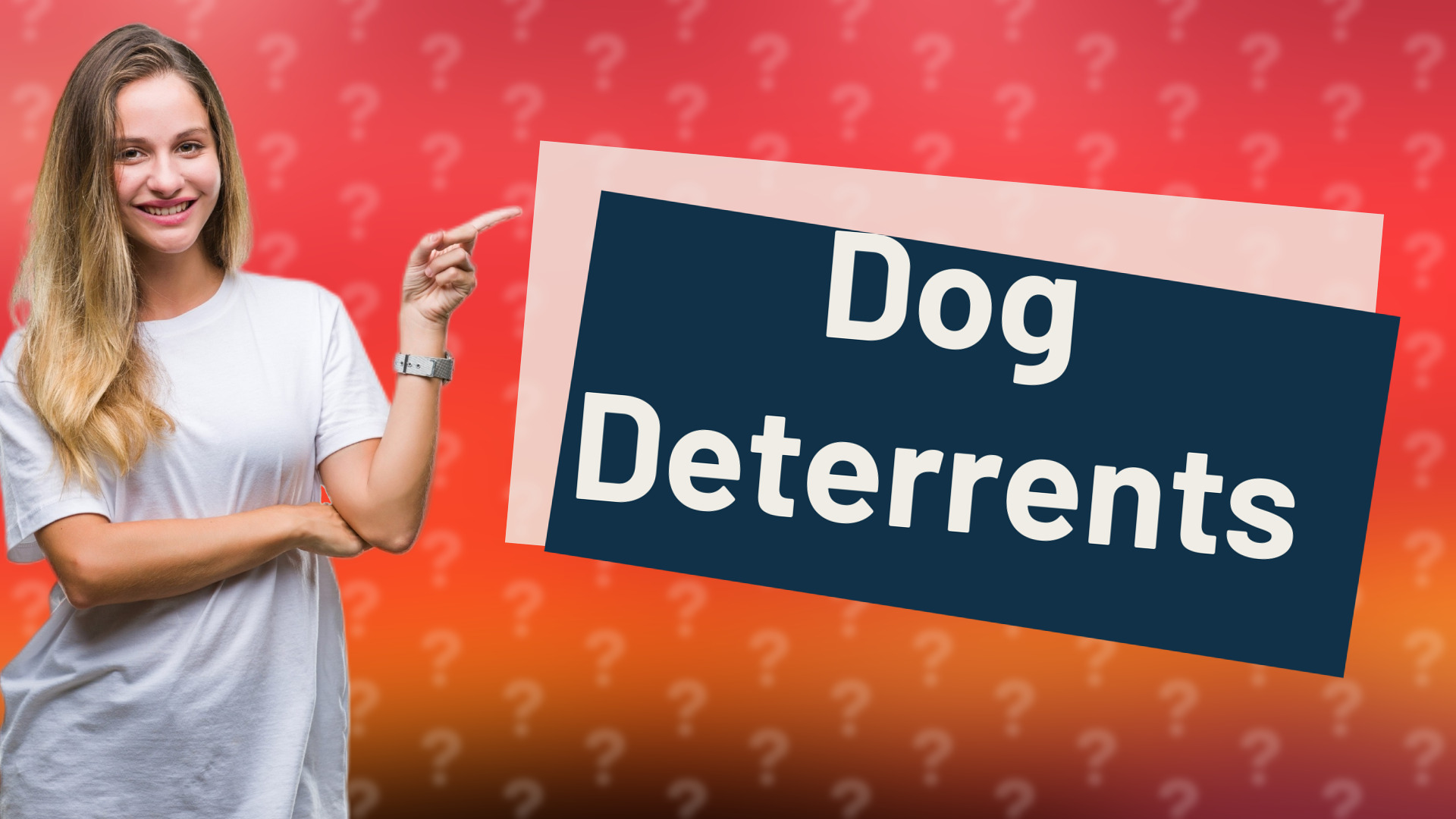 Dog Deterrents