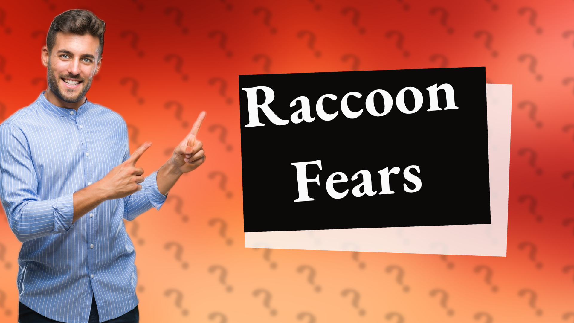 Raccoon Fears