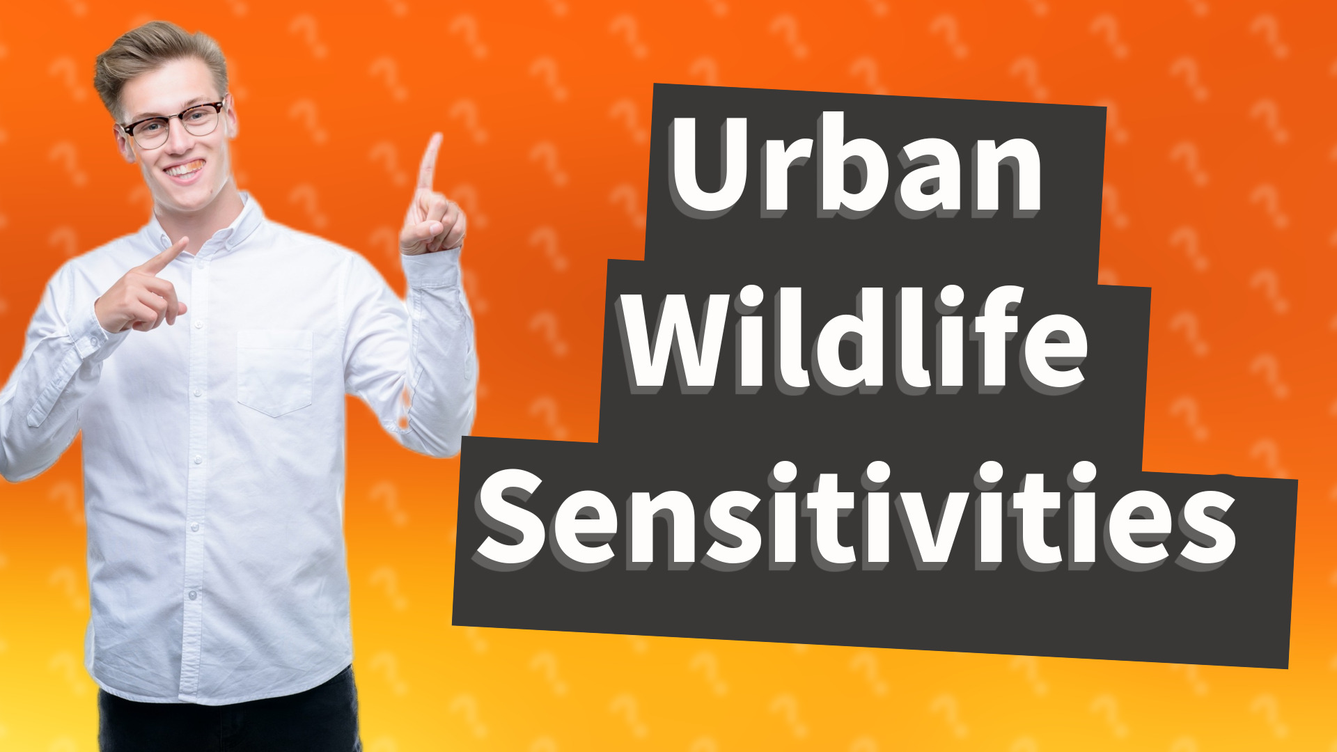 Urban Wildlife Sensitivities