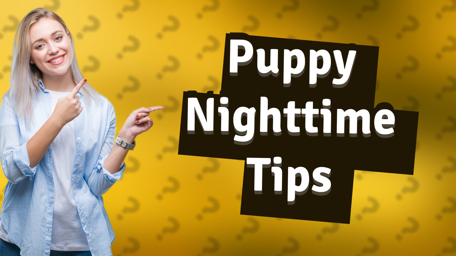 Puppy Nighttime Tips